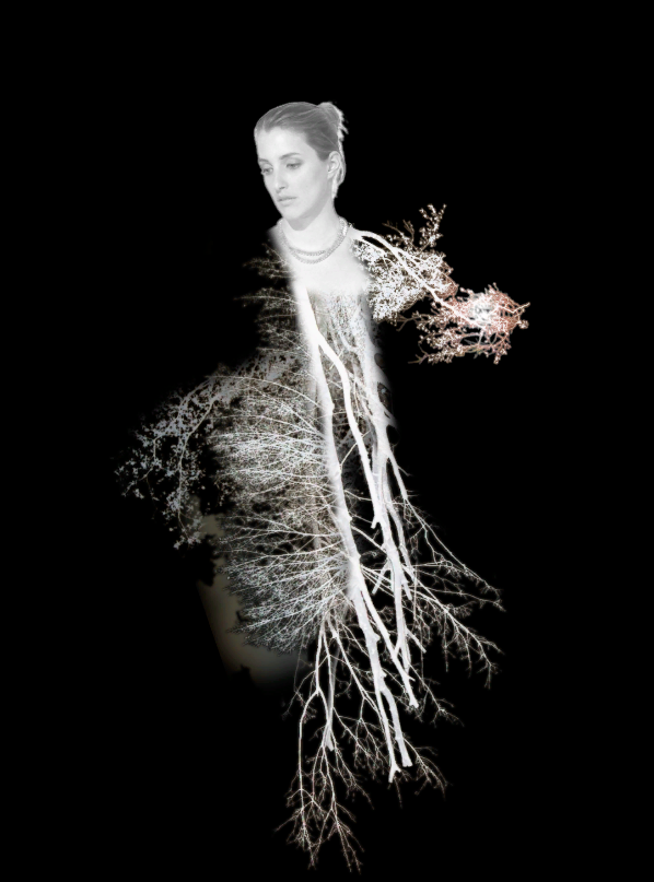 walking tree afbeelding
